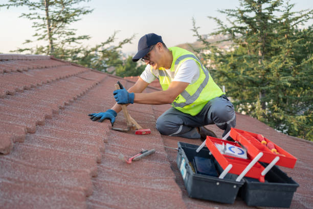 Roof Gutter Cleaning in Willow Grove, TX